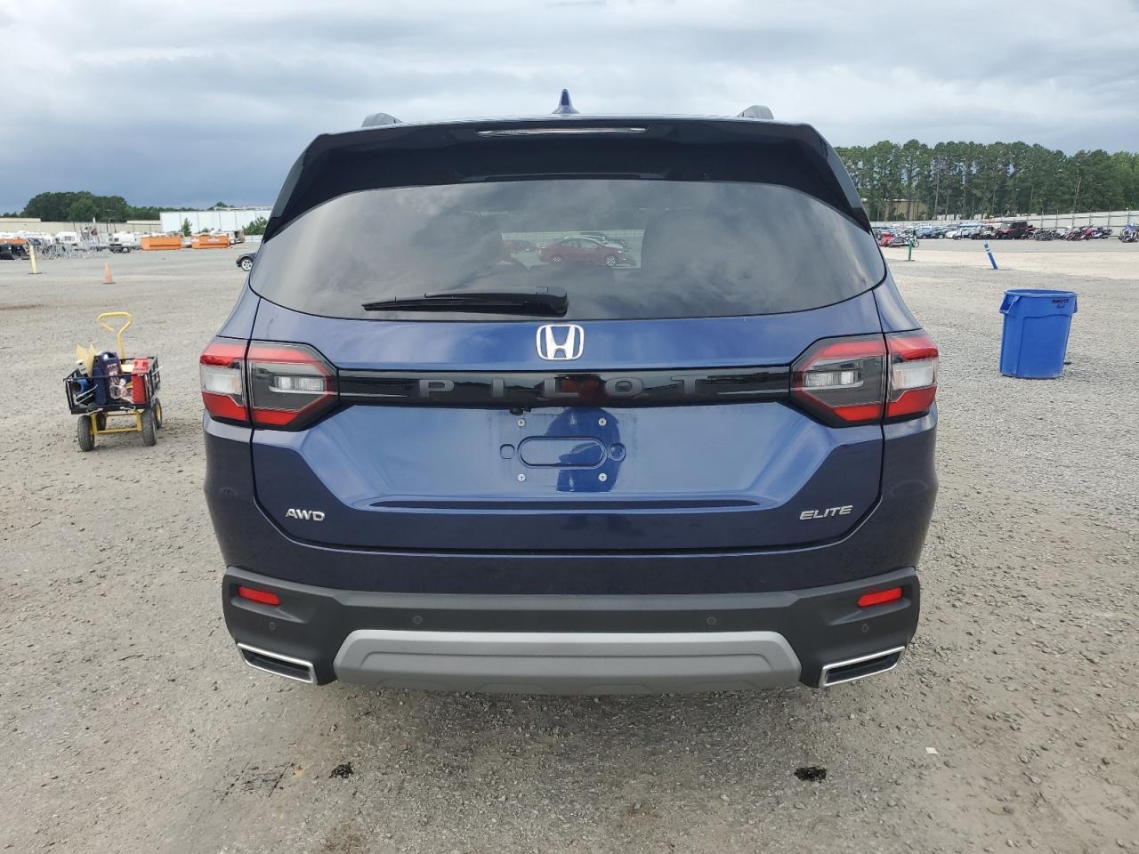 2023 Honda Pilot Elite VIN: 5FNYG1H84PB001369 Lot: 65093155