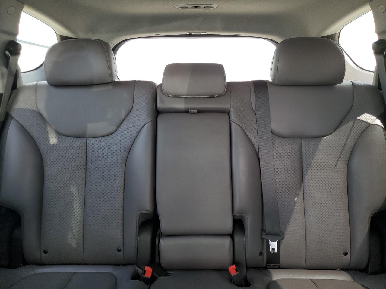 2020 Hyundai Santa Fe Limited VIN: 5NMS5CAD3LH202946 Lot: 64430545