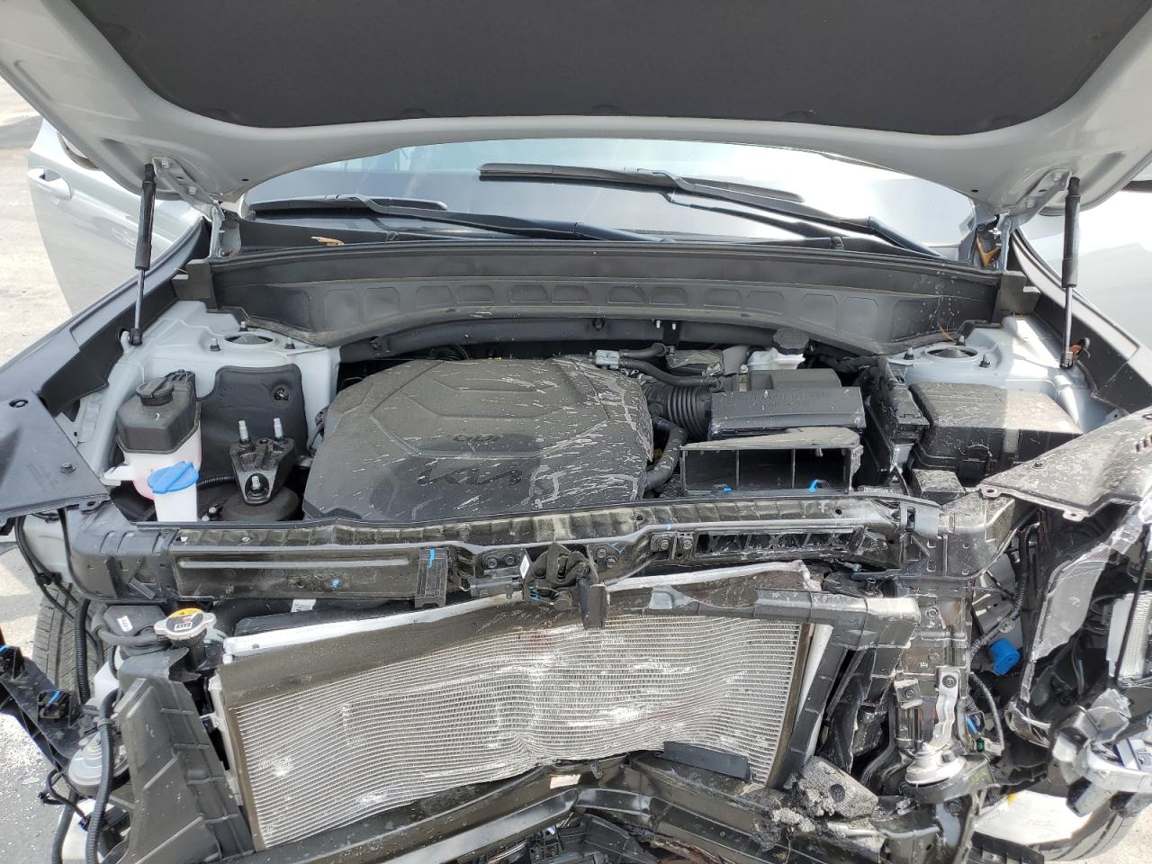 2024 Kia Telluride Sx VIN: 5XYP5DGC9RG449952 Lot: 64617155