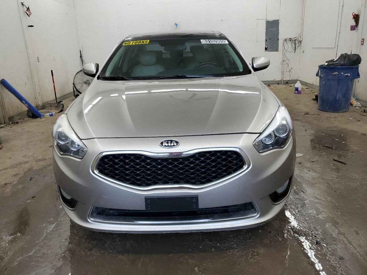 2014 Kia Cadenza Premium VIN: KNALN4D79E5125227 Lot: 63102905