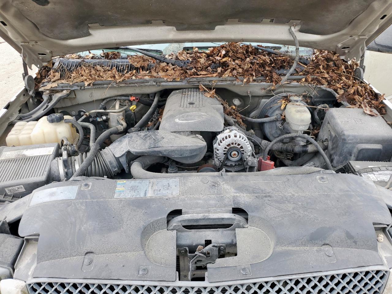 2005 Chevrolet Silverado C1500 VIN: 2GCEC19T251302224 Lot: 65611975