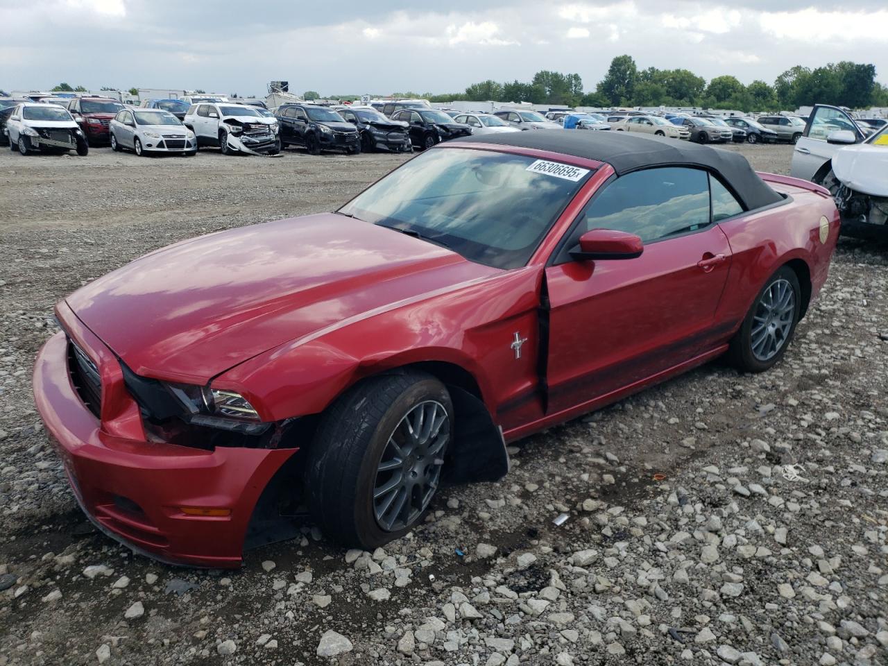 2013 Ford Mustang VIN: 1ZVBP8EMXD5231637 Lot: 66306695
