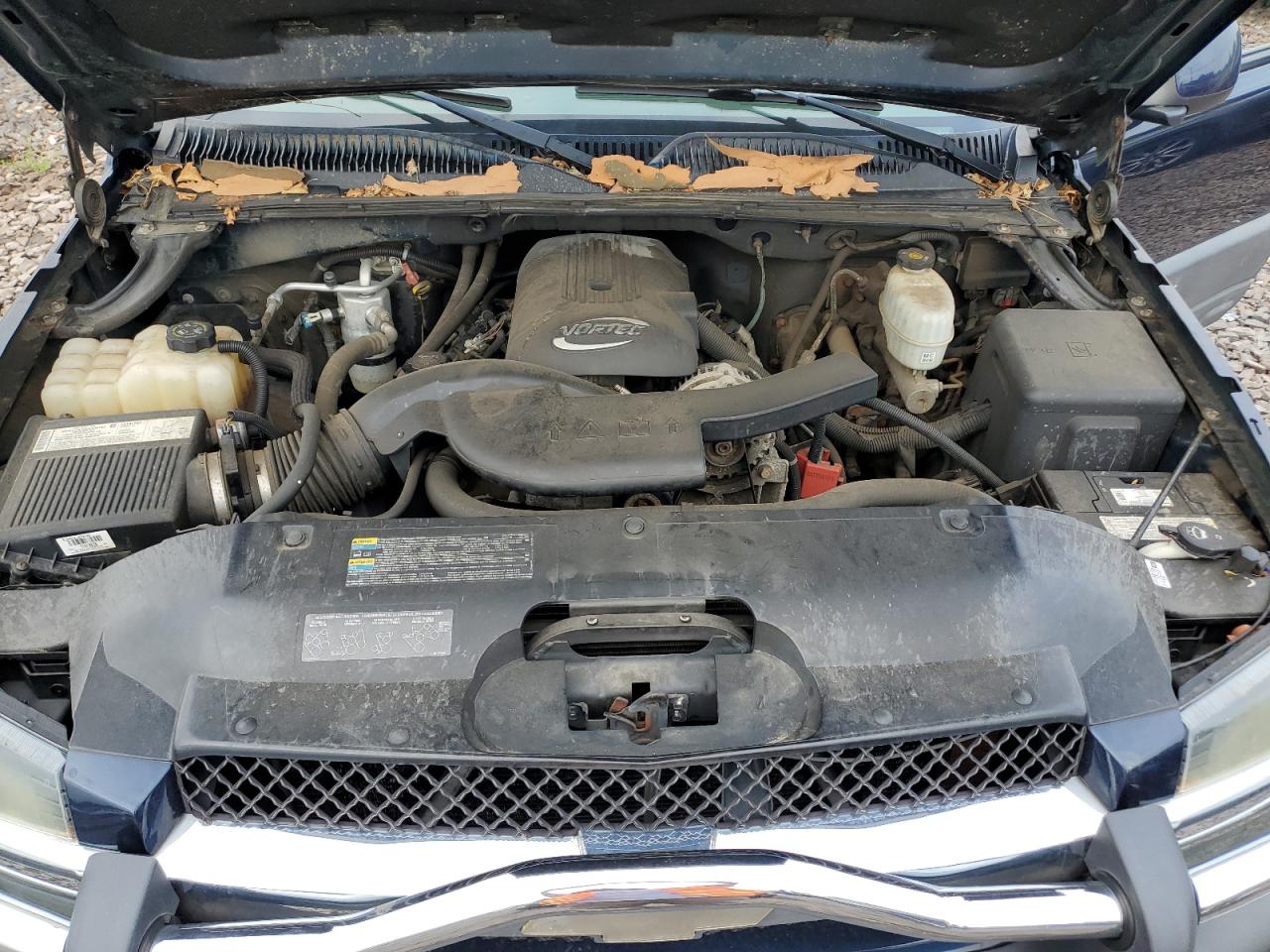 2005 Chevrolet Avalanche K1500 VIN: 3GNEK12Z95G104904 Lot: 64425165