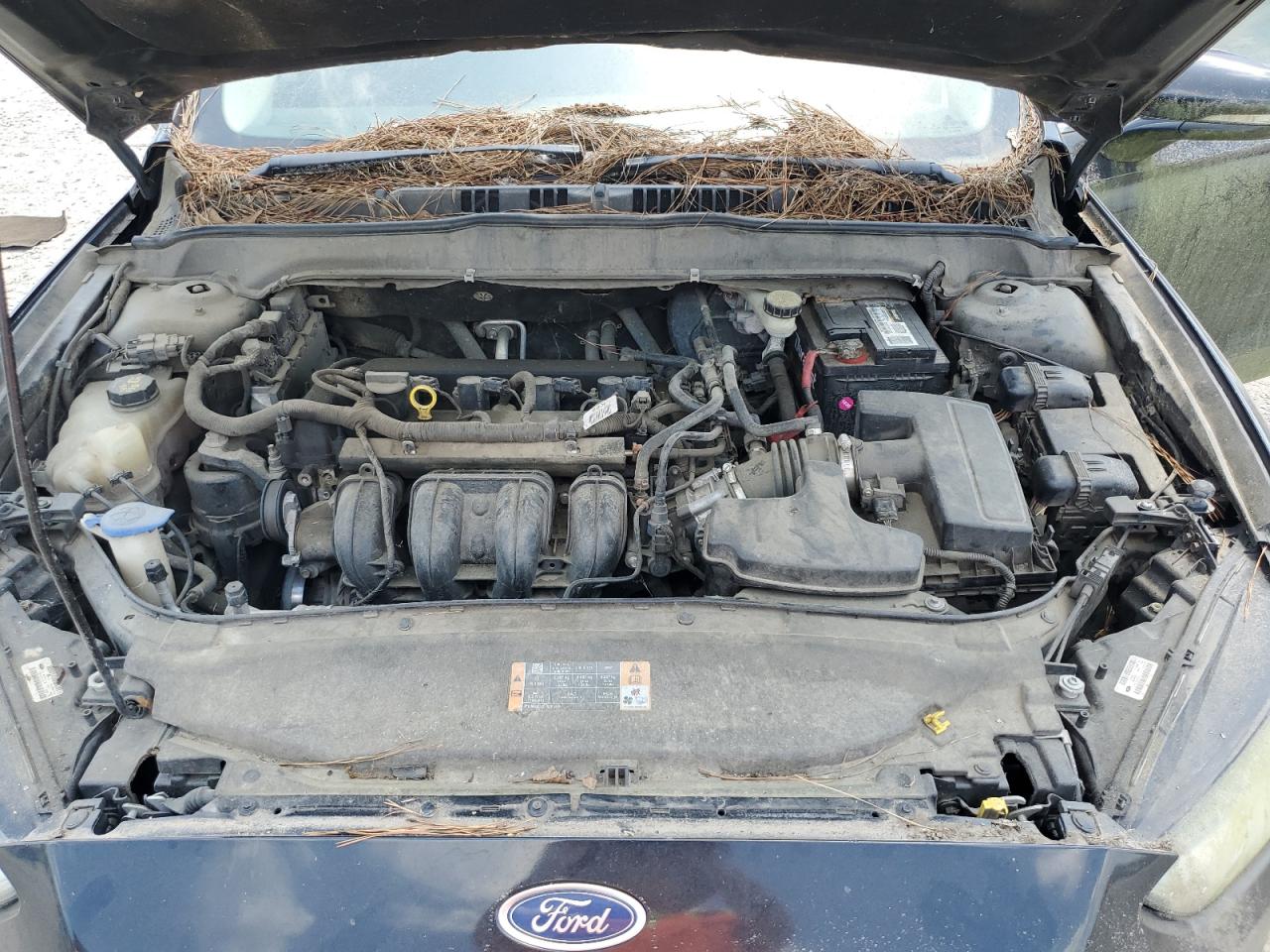 2013 Ford Fusion Se VIN: 3FA6P0H74DR250957 Lot: 65163555
