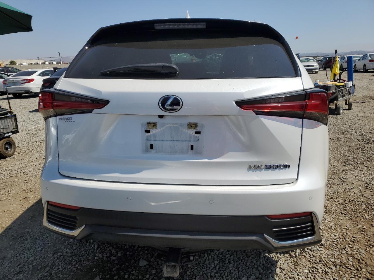 2020 Lexus Nx 300H VIN: JTJGJRDZ6L5009301 Lot: 64702335