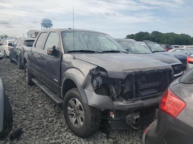 Pickups FORD F-150 2014 Szary