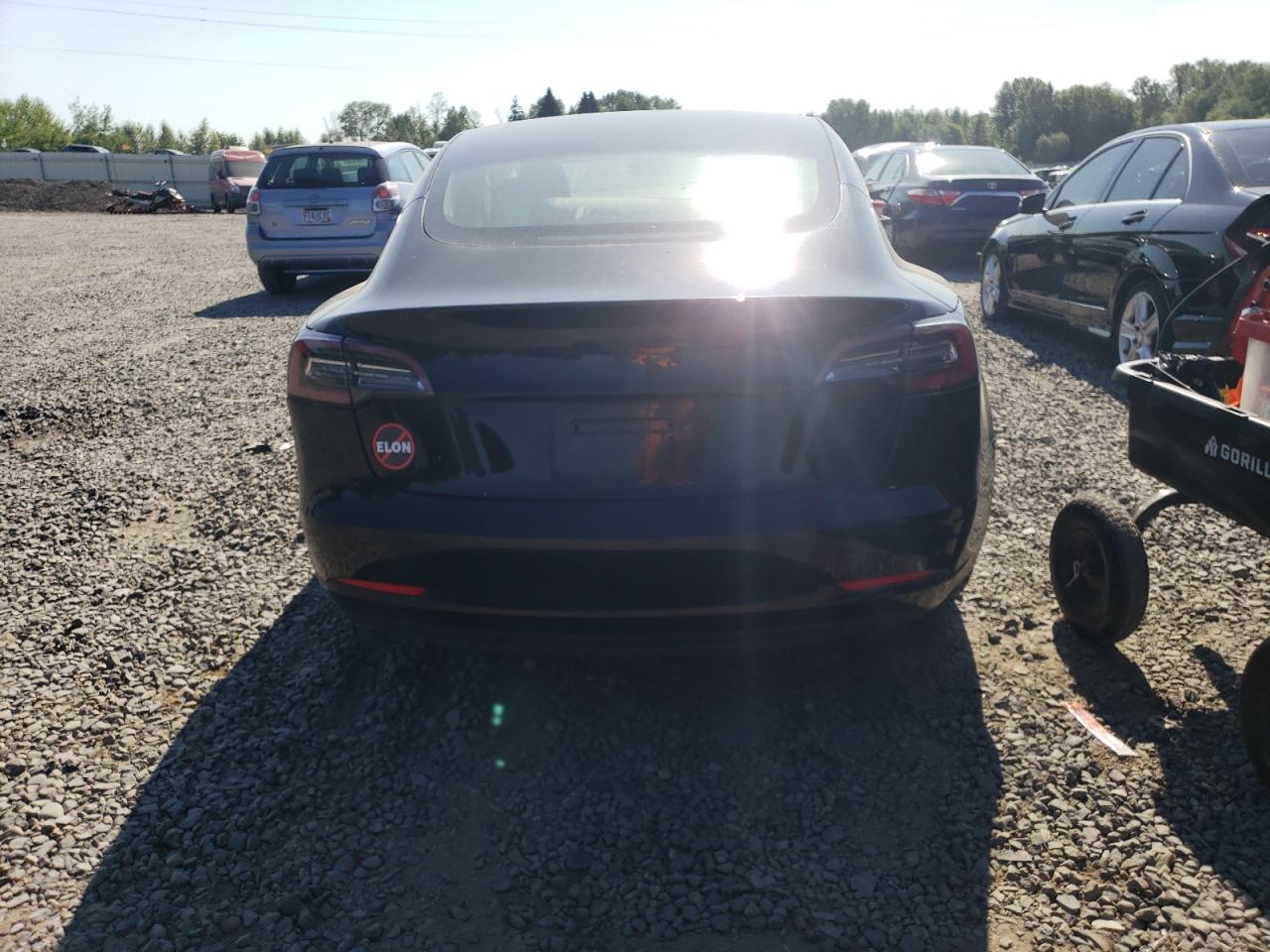 2019 Tesla Model 3 VIN: 5YJ3E1EA5KF312017 Lot: 63524345
