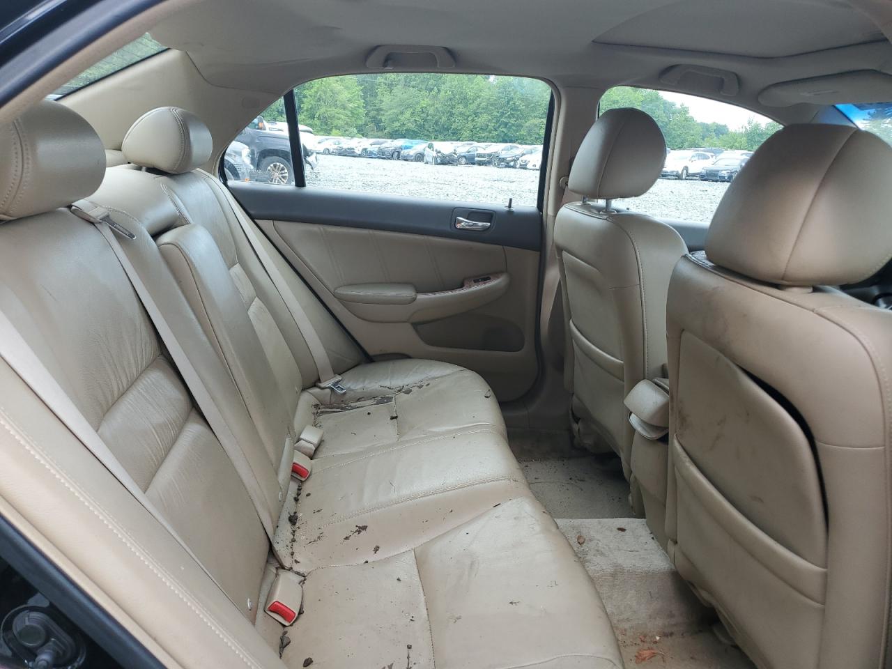 2005 Honda Accord Ex VIN: 1HGCM56875A184349 Lot: 64699285