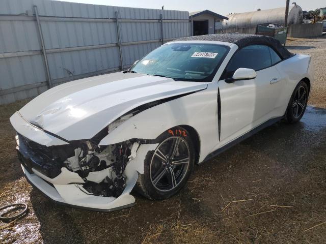 FORD ALL Models – zdjęcie z aukcji, lot #64696795