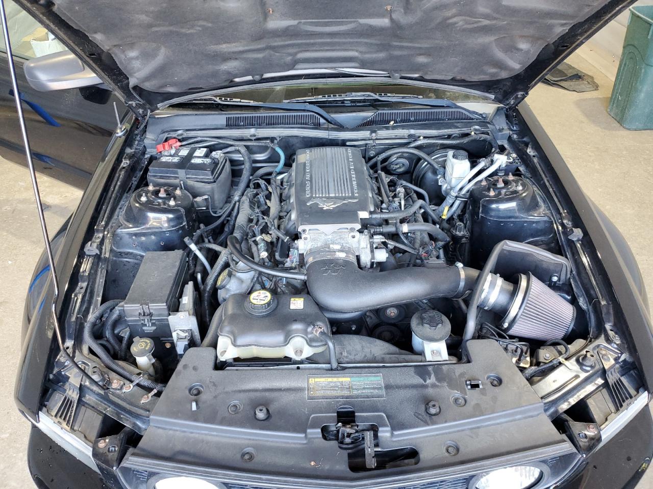 2009 Ford Mustang Gt VIN: 1ZVHT82HX95106030 Lot: 63610135