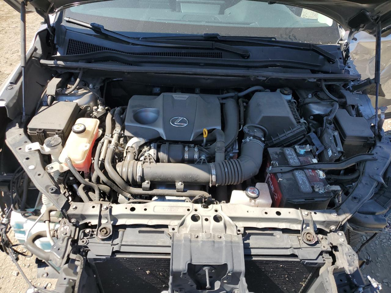 2019 Lexus Nx 300 Base VIN: JTJYARBZ6K2119305 Lot: 62756135