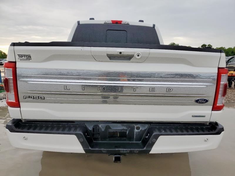  FORD F150 2022 White