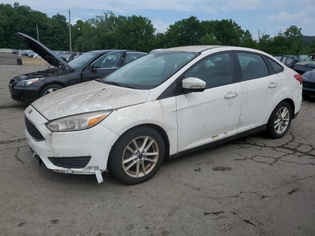  FORD FOCUS 2015 Biały