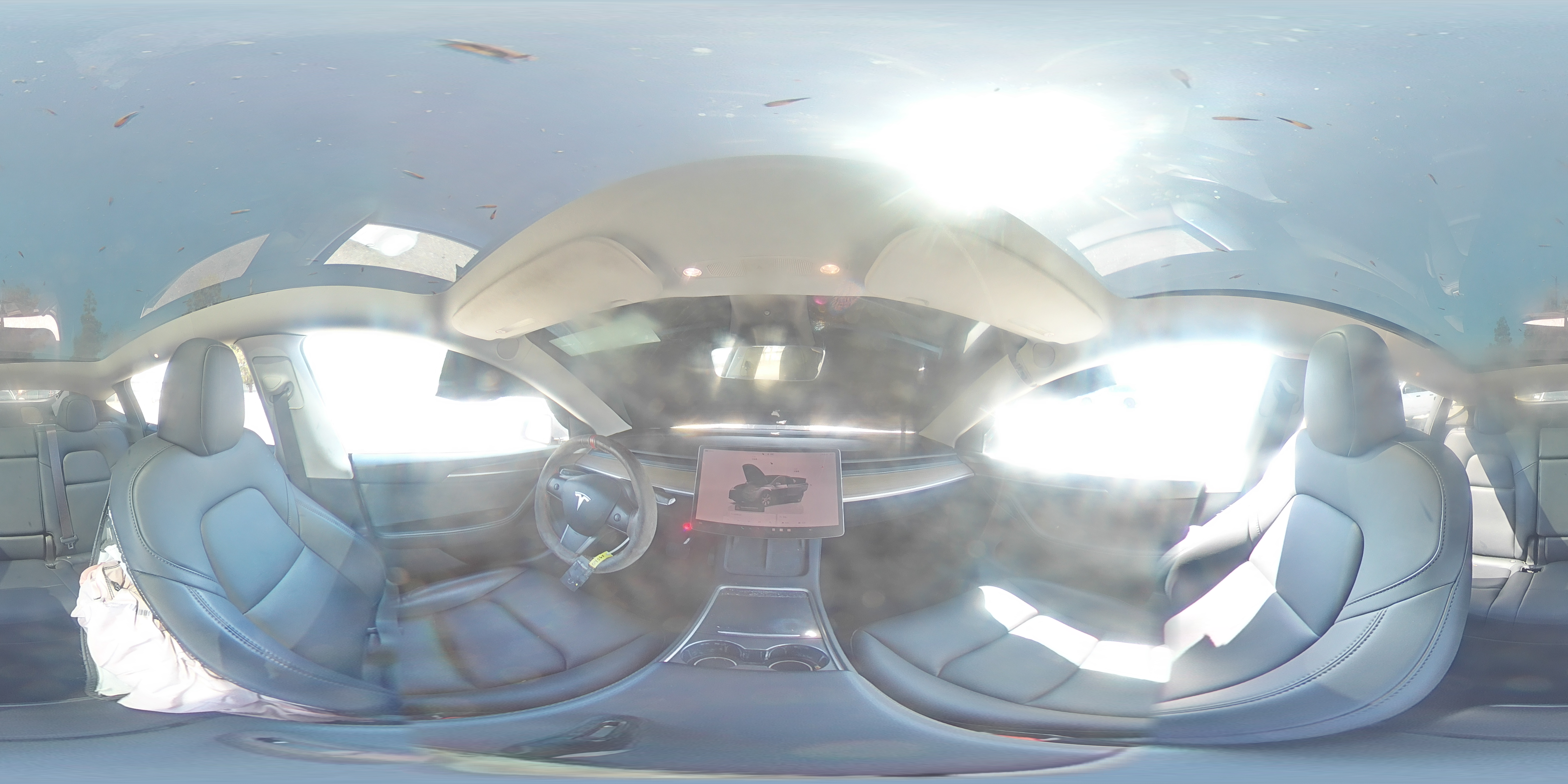 2023 Tesla Model Y VIN: 7SAYGDEE4PF856703 Lot: 66704565