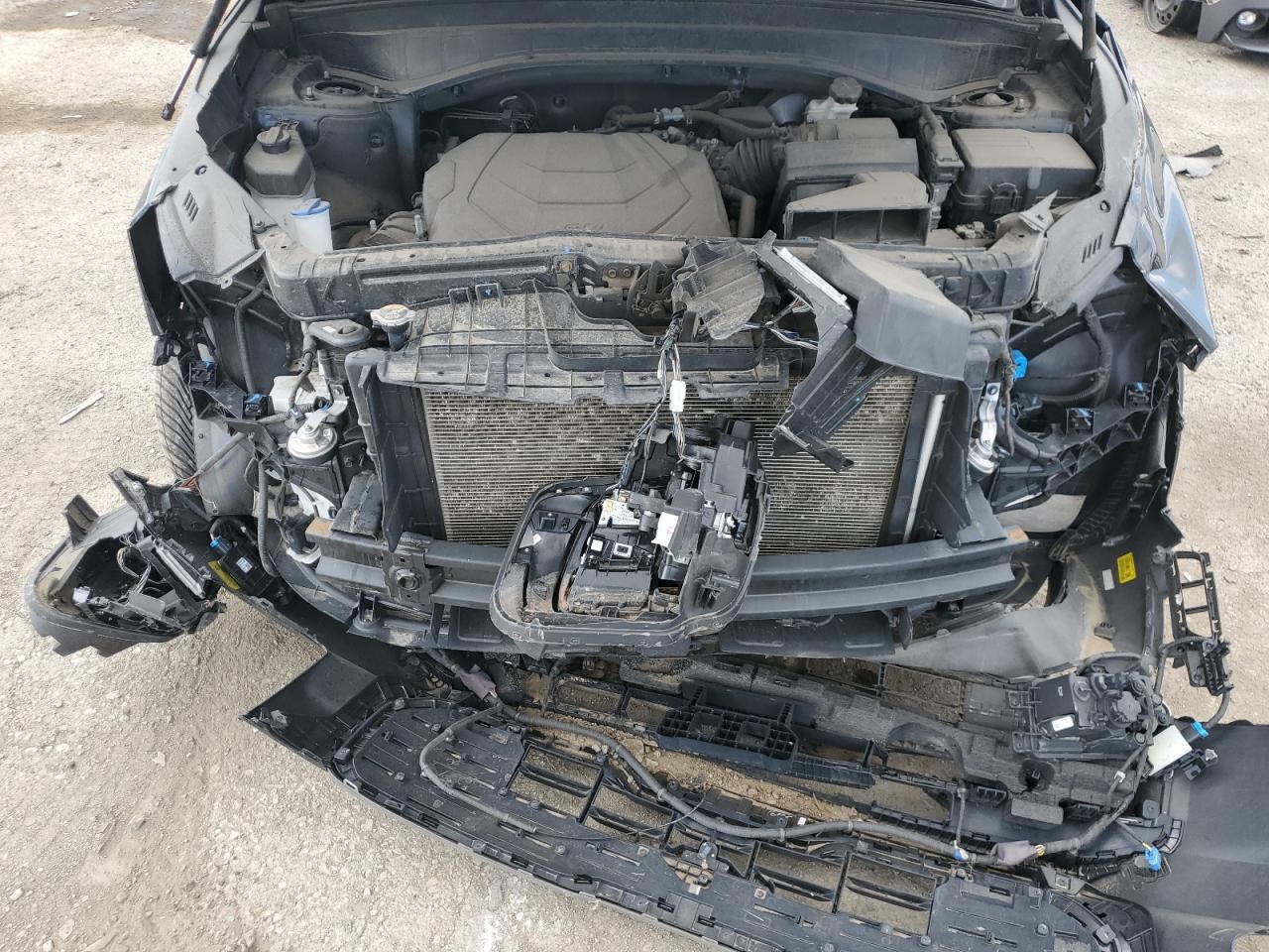 2024 Kia Telluride Sx VIN: 5XYP5DGC3RG416638 Lot: 62874765
