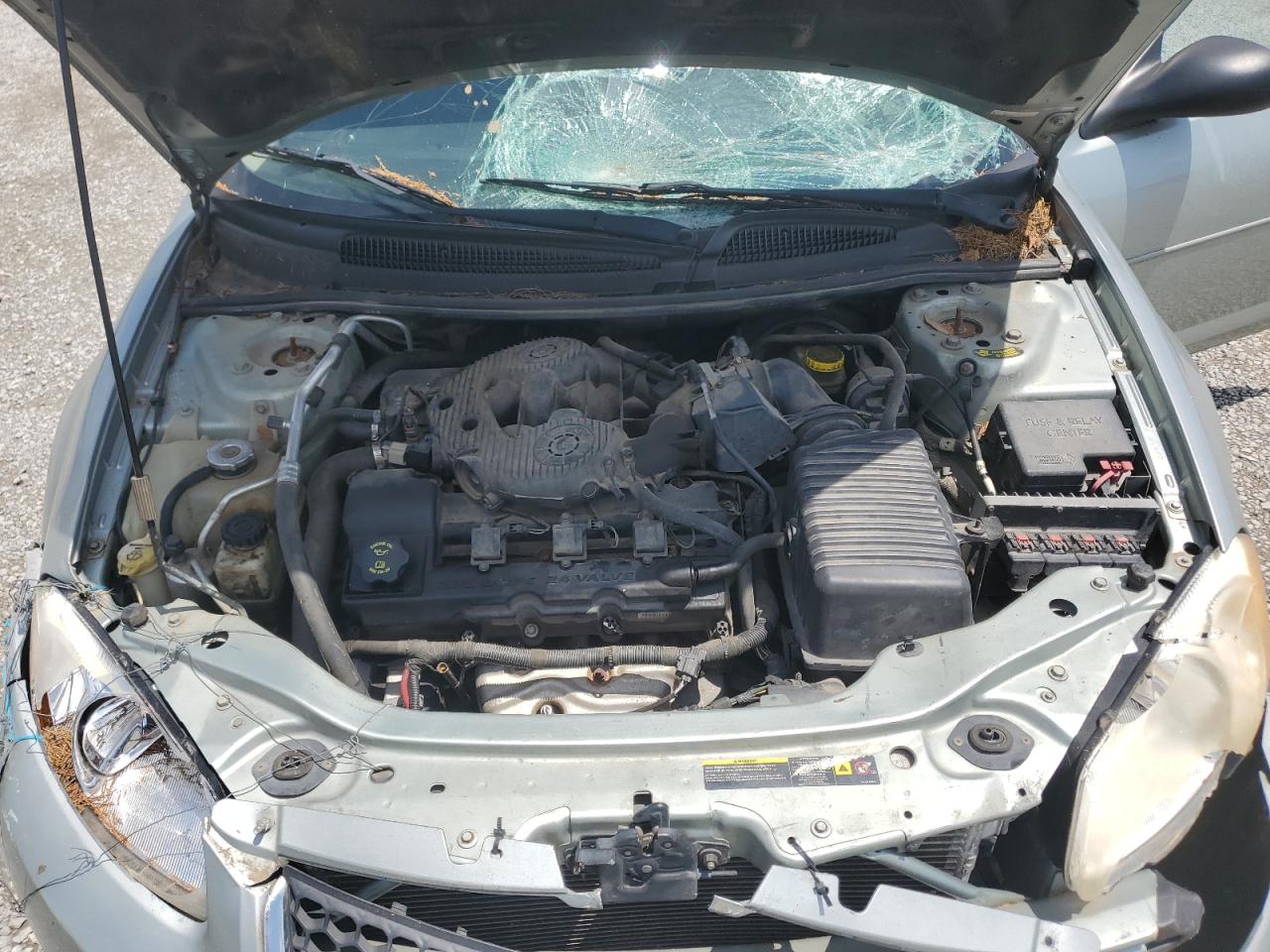 2005 Dodge Stratus Sxt VIN: 1B3EL46T25N558935 Lot: 62161245