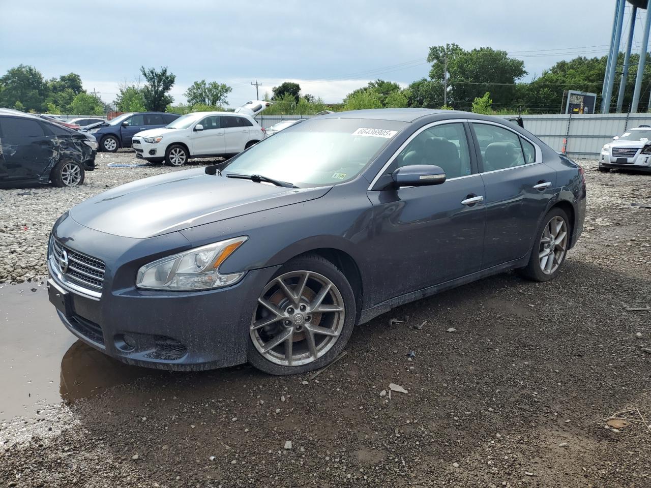 2010 Nissan Maxima S VIN: 1N4AA5AP8AC812534 Lot: 66436905