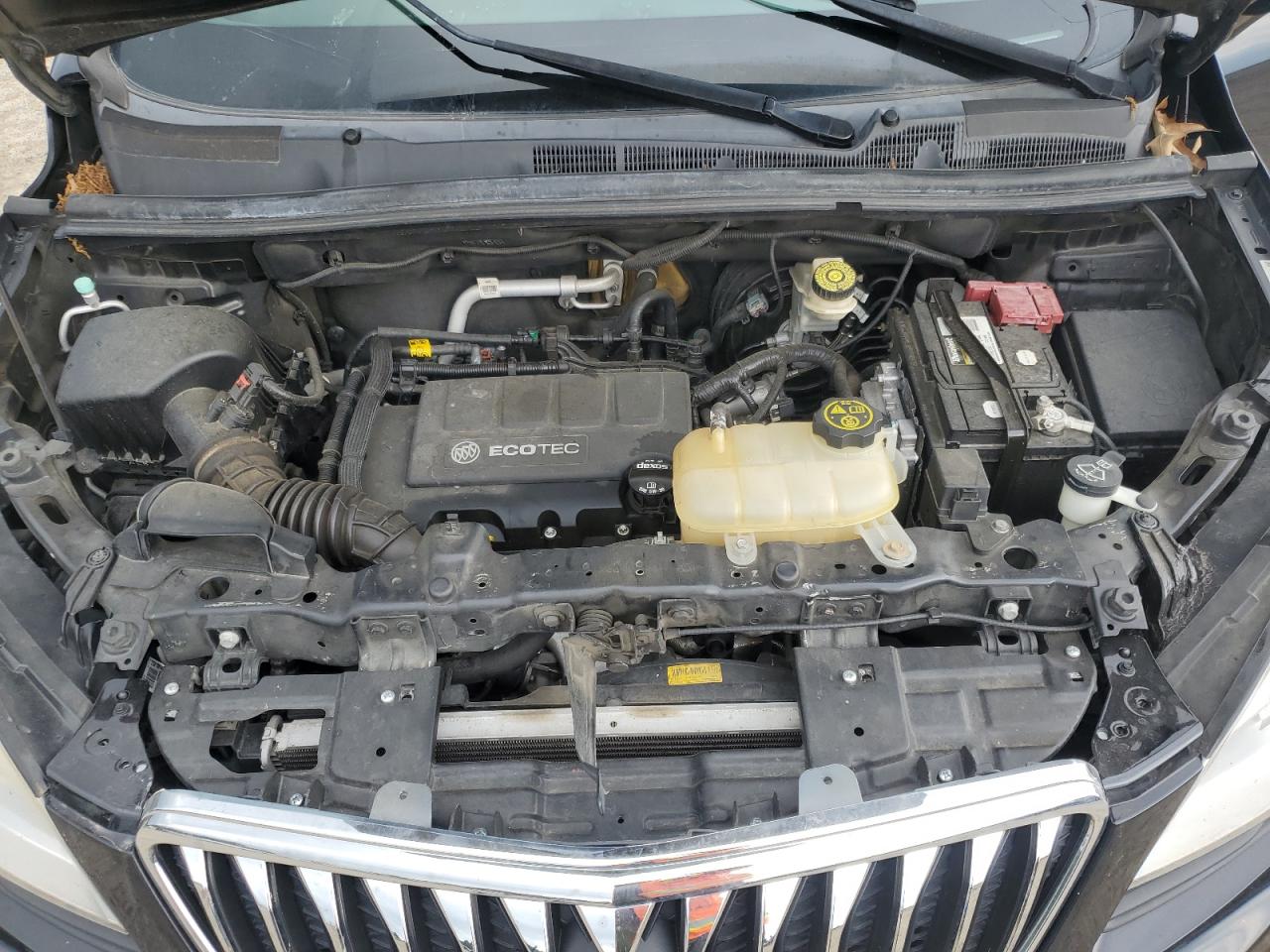 2016 Buick Encore VIN: KL4CJASB7GB730494 Lot: 66752515