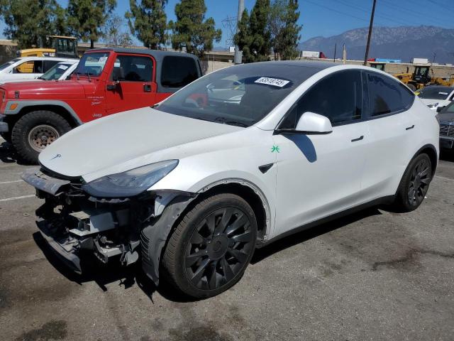  TESLA MODEL Y 2021 Biały