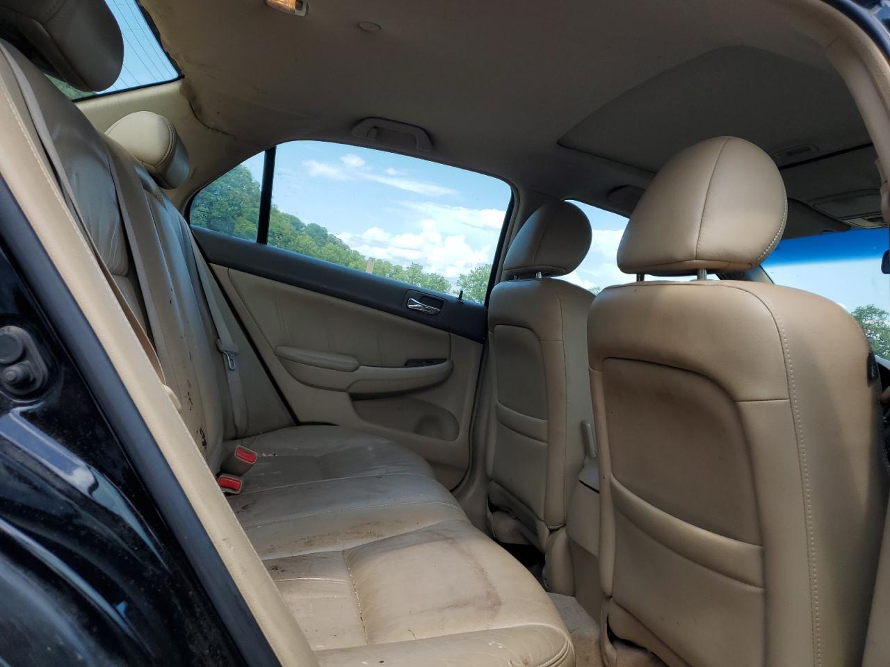 2006 Honda Accord Ex VIN: 1HGCM66566A011273 Lot: 64441545