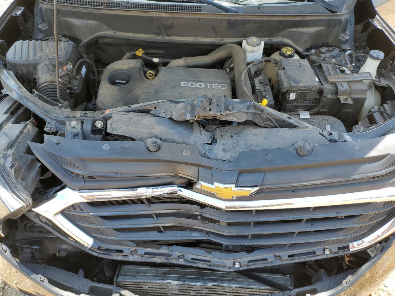 2019 Chevrolet Equinox Ls VIN: 2GNAXSEV1K6122352 Lot: 66079155