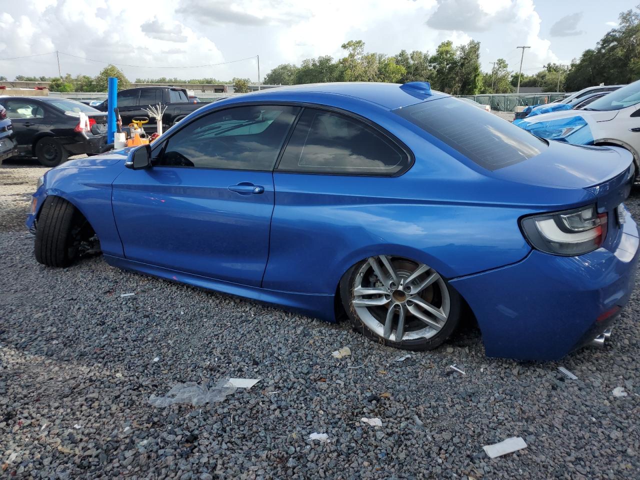 2016 BMW 228 I Sulev VIN: WBA1F9C51GV545567 Lot: 66353665