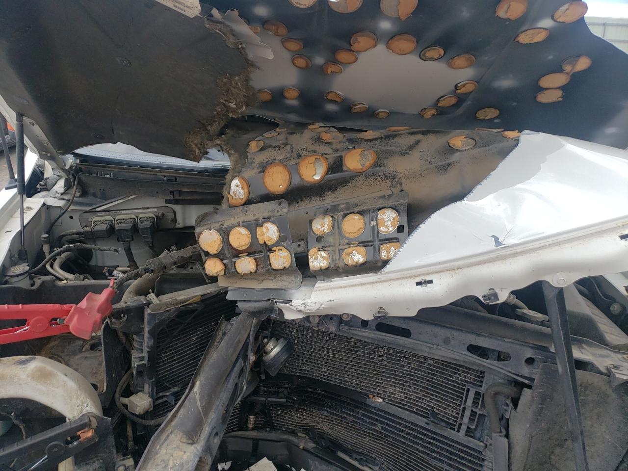 2010 Ford F150 Super Cab VIN: 1FTEX1C88AKE64832 Lot: 62769675