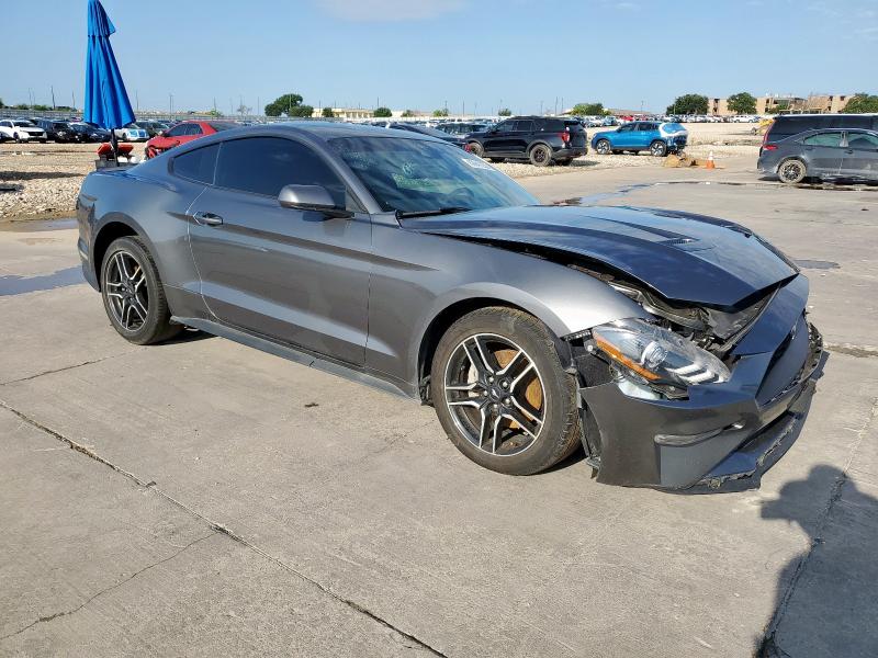  FORD ALL Models 2023 Szary