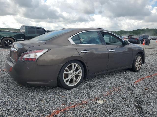  NISSAN MAXIMA 2012 Szary