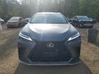2024 LEXUS NX 350 LUXURY   for sale at Copart ON - COOKSTOWN