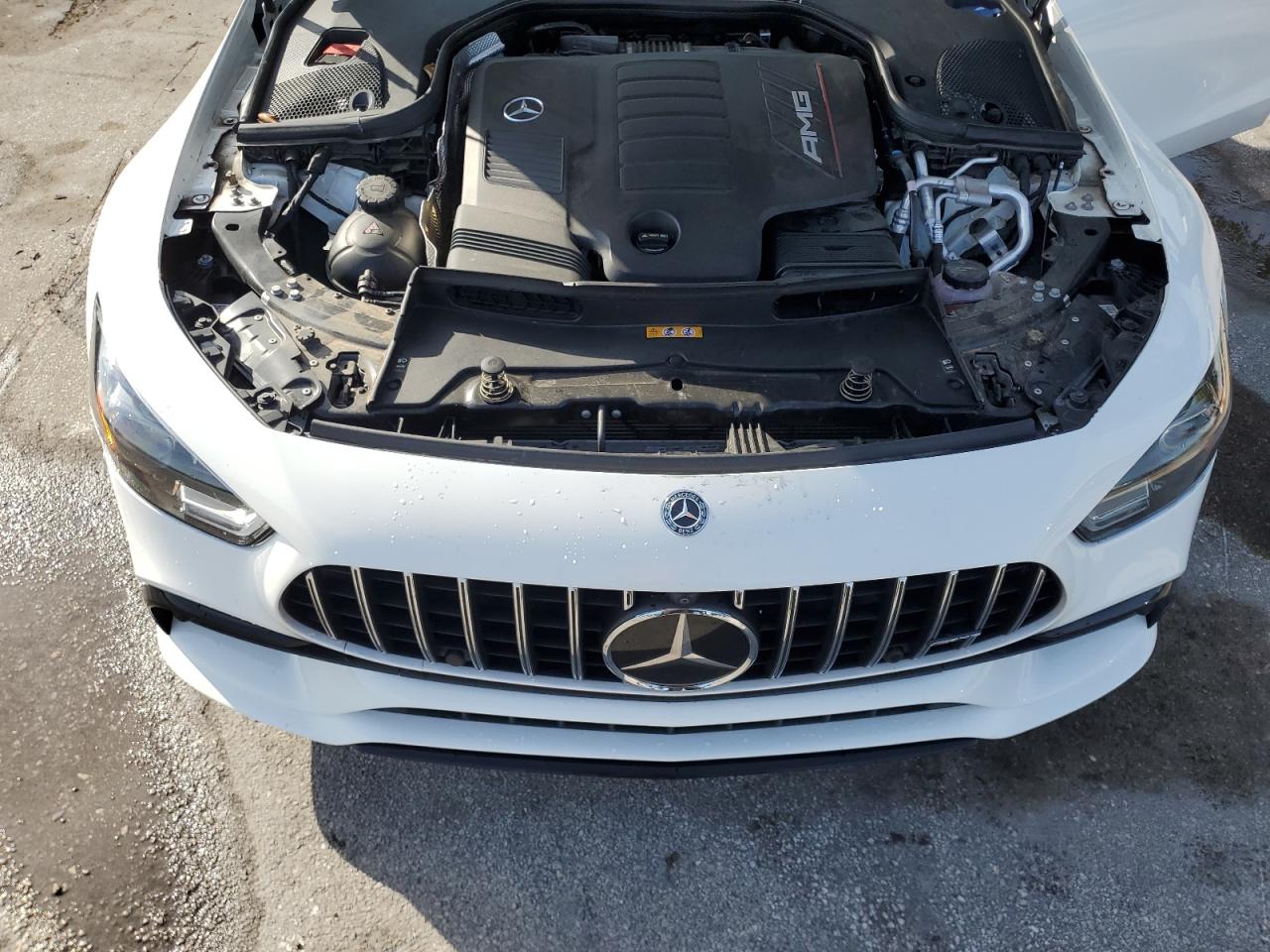 2019 Mercedes-Benz Amg Gt 53 VIN: WDD7X6BBXKA004006 Lot: 64174745
