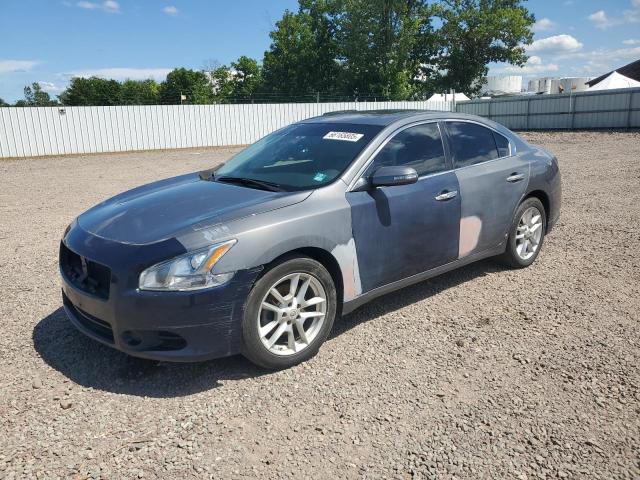 Sedans NISSAN MAXIMA 2014 Szary