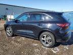 2024 FORD ESCAPE ST LINE   for sale at Copart AB - CALGARY