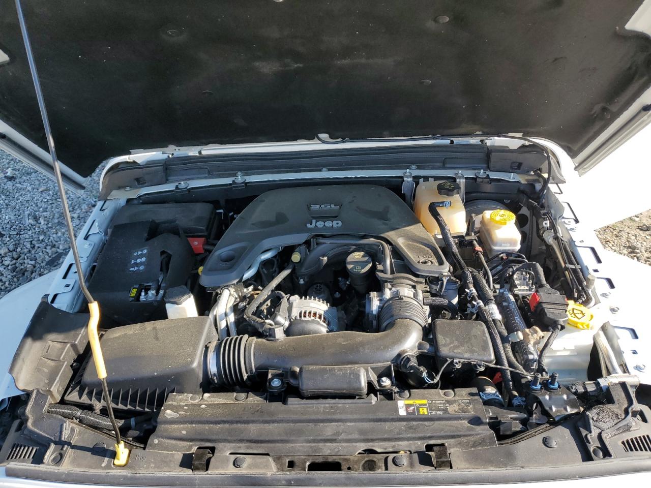 2019 Jeep Wrangler Unlimited Sahara VIN: 1C4HJXEGXKW507924 Lot: 63289905