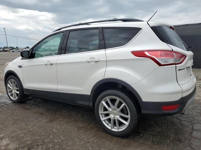 Паркетники FORD ESCAPE 2013 Белы