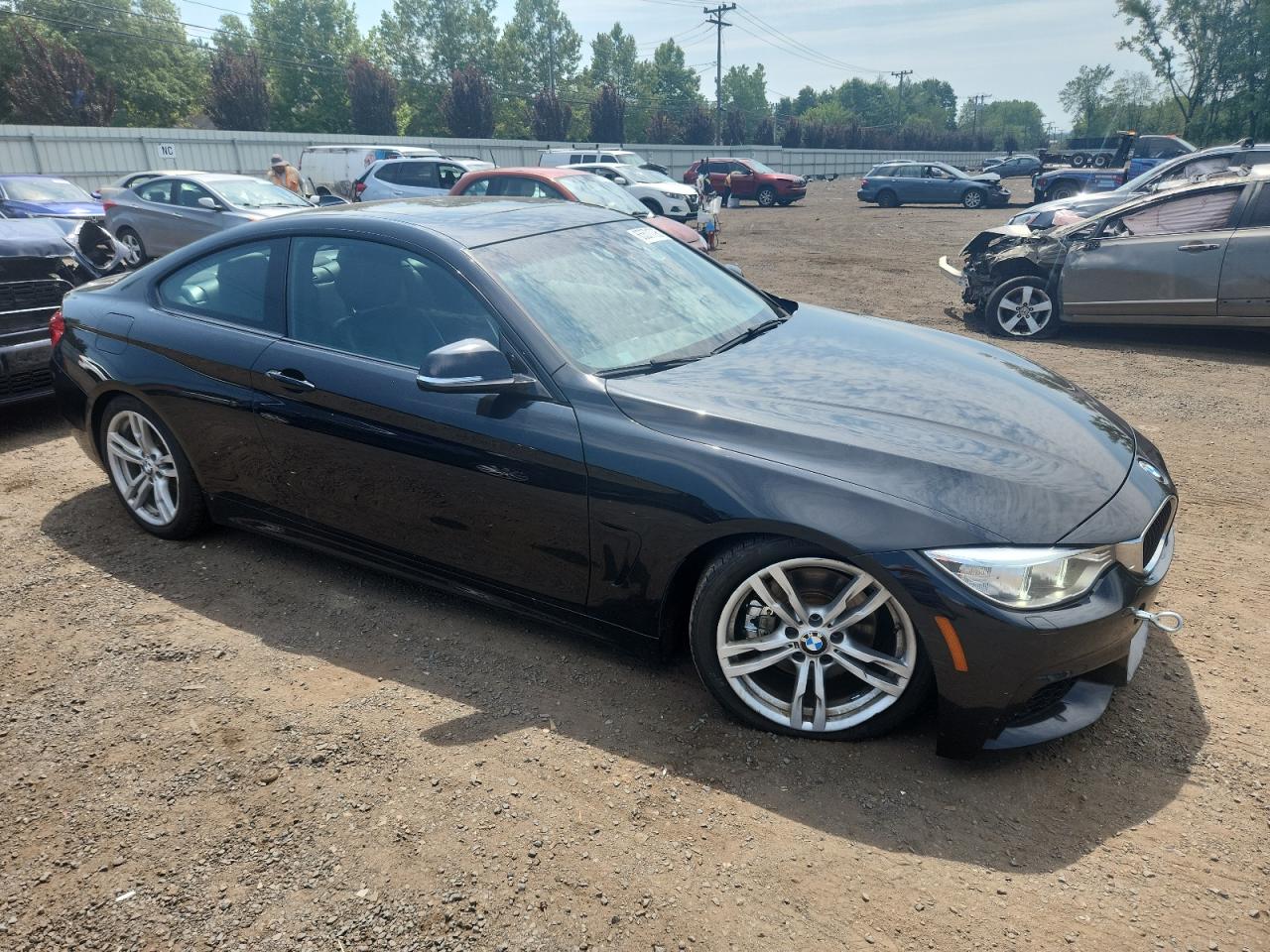 2014 BMW 428 Xi VIN: WBA3N9C59EK244734 Lot: 65571795