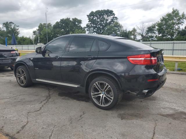 Parquets BMW X6 2014 Black