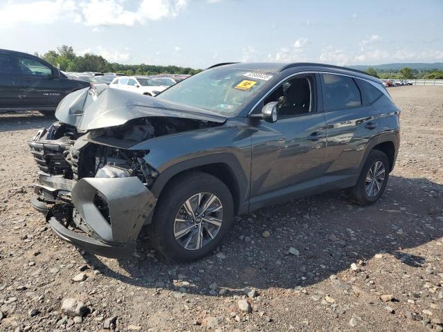 2024 Hyundai Tucson Blue