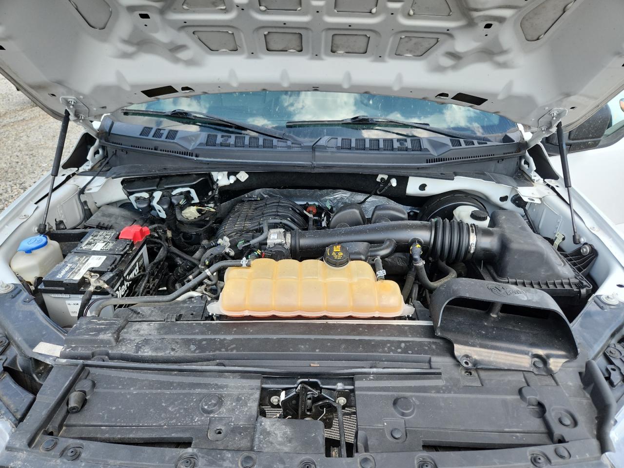 2019 Ford F150 VIN: 1FTMF1CB9KKC82603 Lot: 64748465