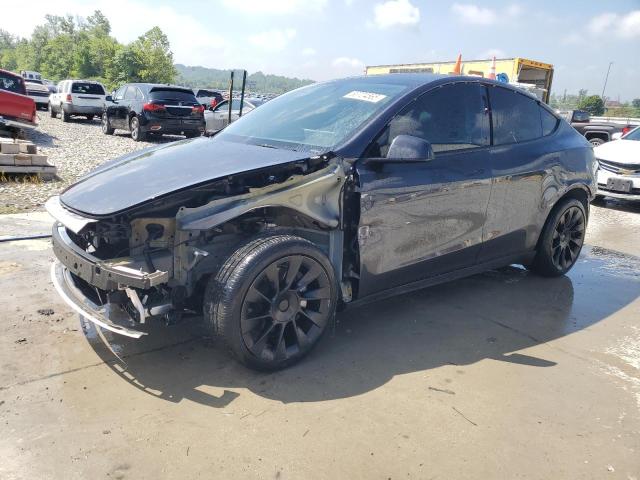  TESLA MODEL Y 2024 Szary