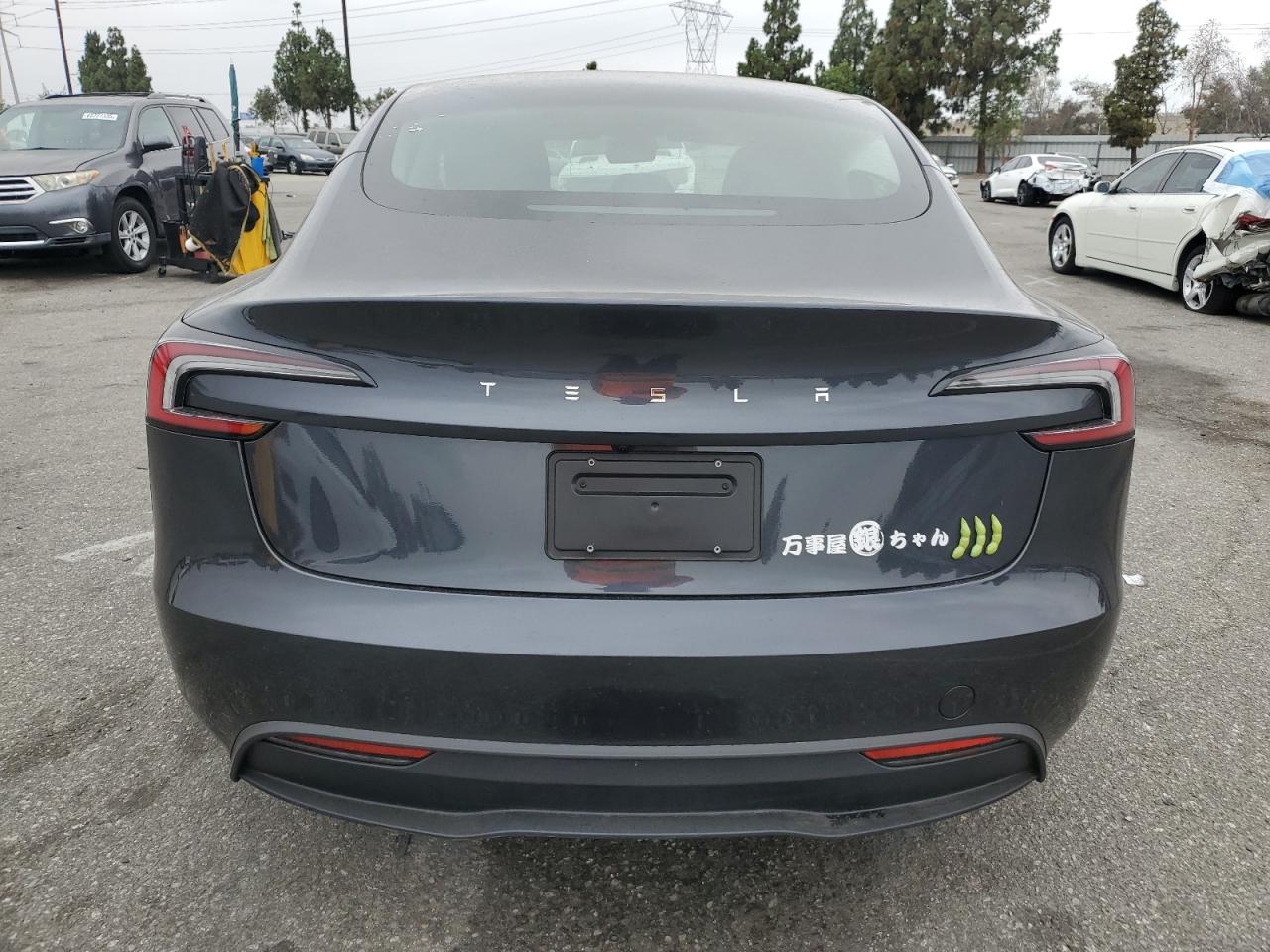 2024 Tesla Model 3 VIN: 5YJ3E1EA4RF825463 Lot: 65472905