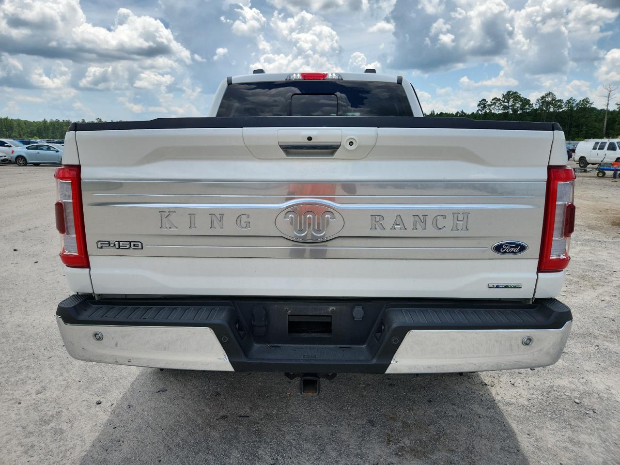 2023 Ford F150 Supercrew VIN: 1FTFW1E82PFB14991 Lot: 65317235