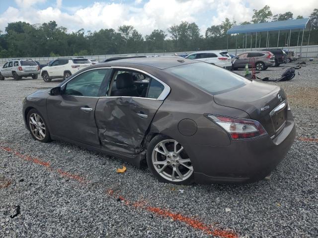  NISSAN MAXIMA 2012 Szary