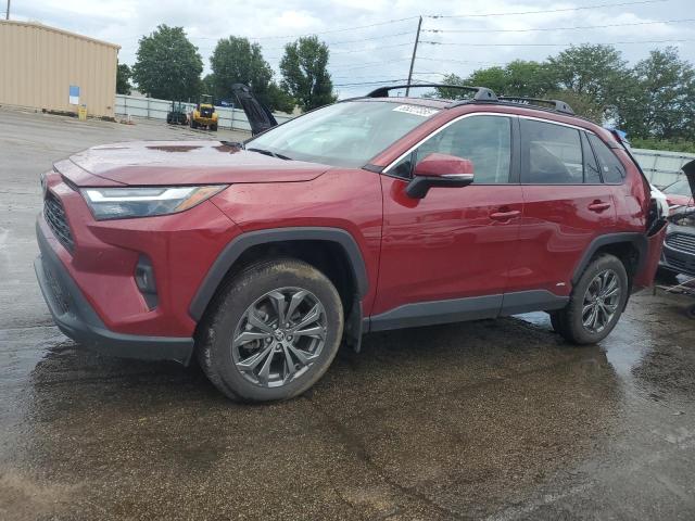 TOYOTA RAV4 XLE P 2024