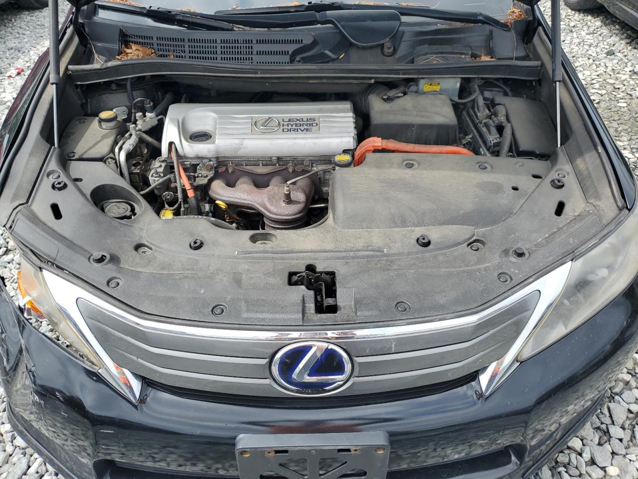 2010 Lexus Hs 250H VIN: JTHBB1BA9A2007418 Lot: 63374545