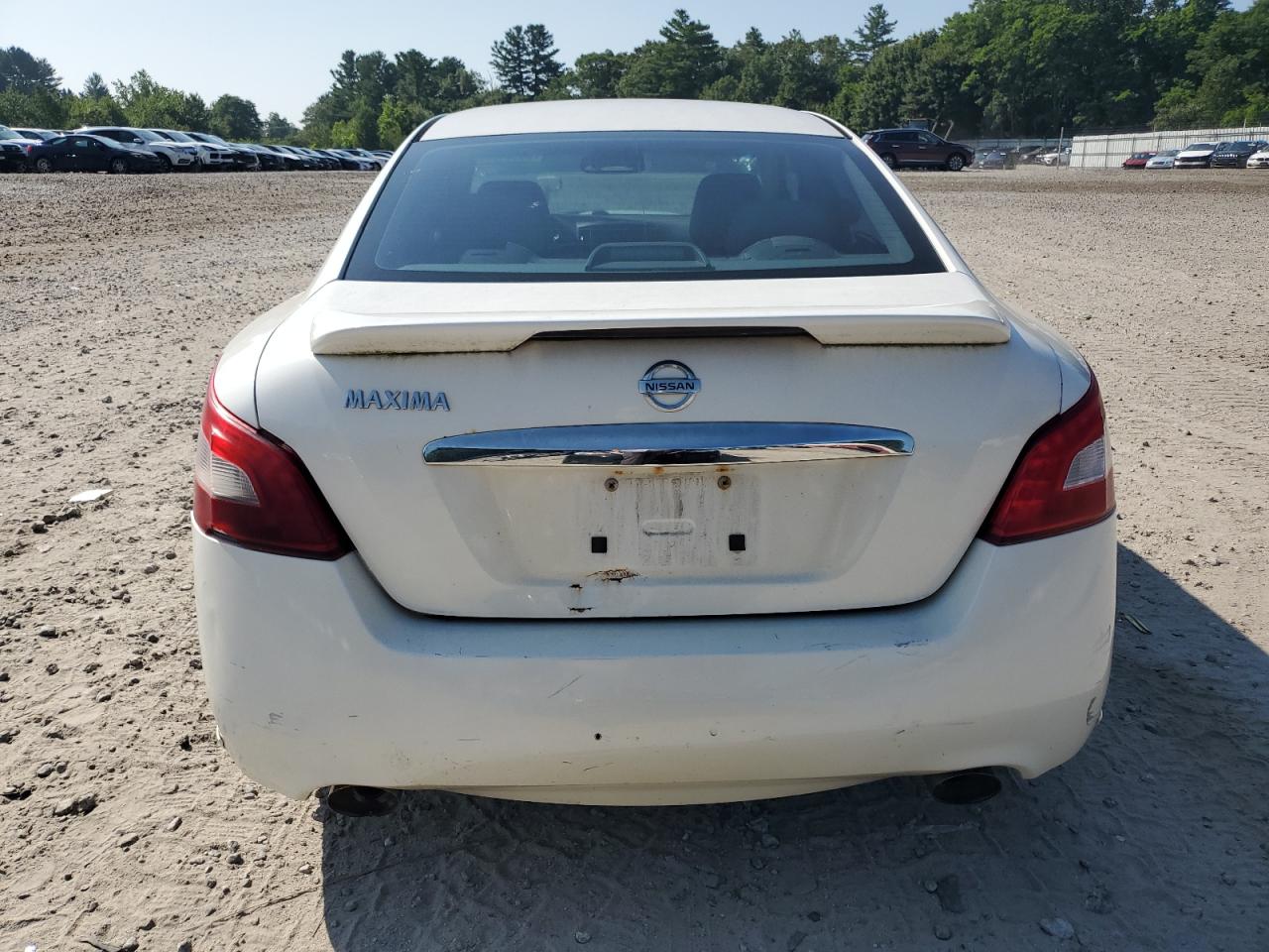 2009 Nissan Maxima S VIN: 1N4AA51E99C847819 Lot: 66644555