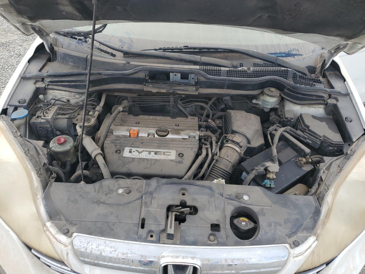 2009 Honda Cr-V Exl VIN: JHLRE38789C012696 Lot: 65236395