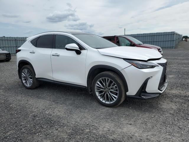 2024 LEXUS NX 350H BASE  