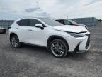 2024 LEXUS NX 350H BASE   for sale at Copart ON - OTTAWA