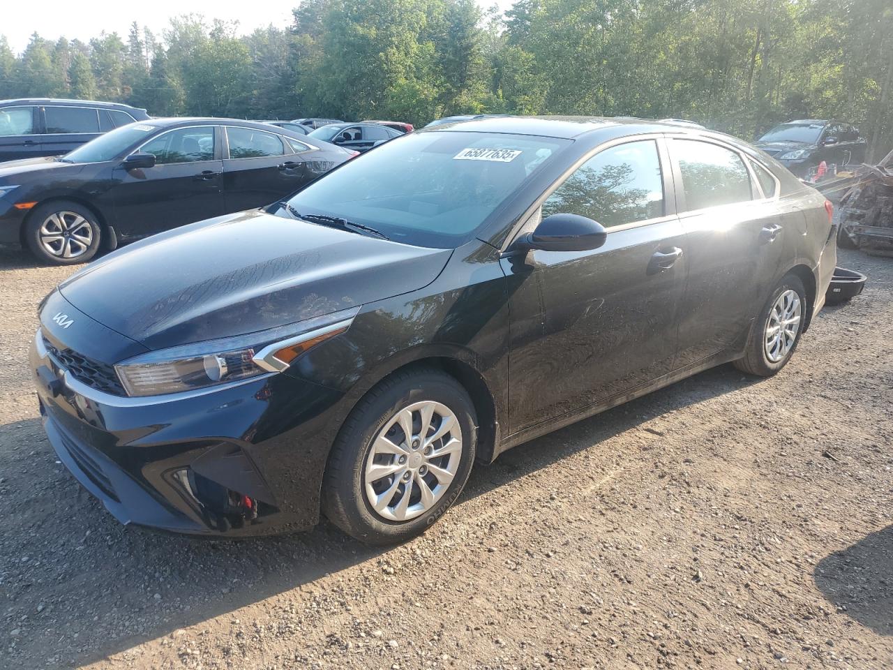 2023 Kia Forte Lx VIN: 3KPF24AD3PE661374 Lot: 65877635